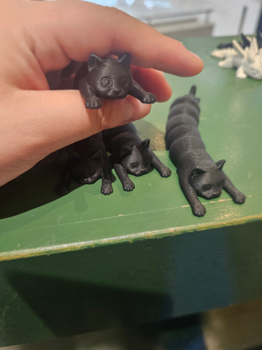 Fidget Cat