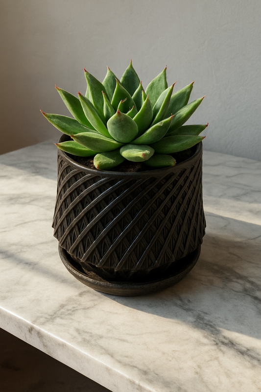 Modern Planter